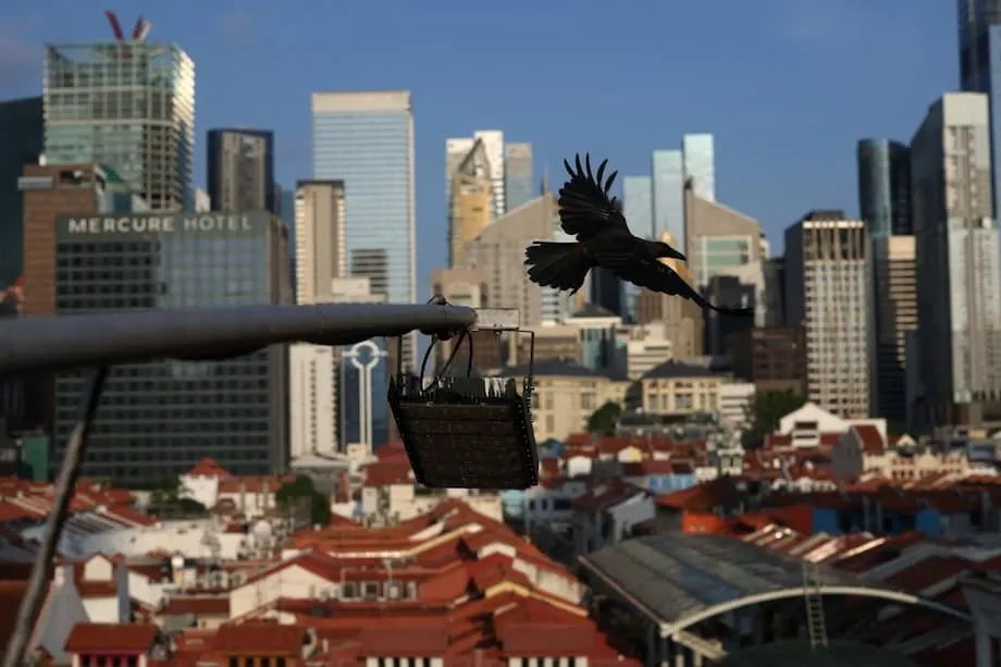 Singapura Enfrenta Aumento Alarmante de Suicídios entre Jovens Adultos: Compreendendo a Crise e os Caminhos a Seguir
