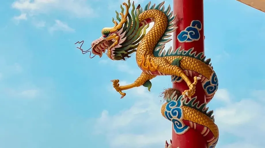 Descoberta de Fóssil Pré-Histórico de 'Dragão' na China Revela Réptil Aquático de Pescoço Longo da Era Triássica
