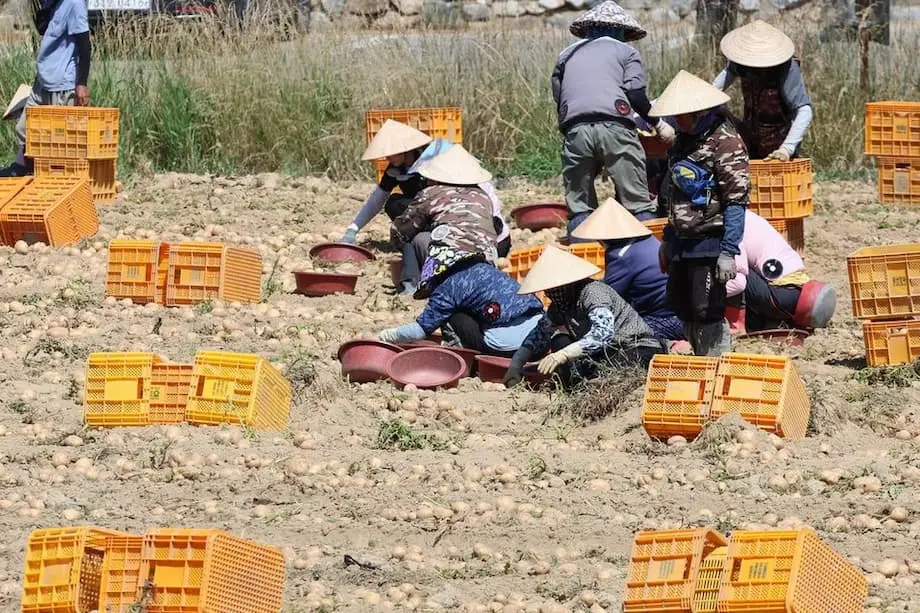 Coreia do Sul Alarga Campanha para o Tratamento Respeitoso dos Trabalhadores Migrantes