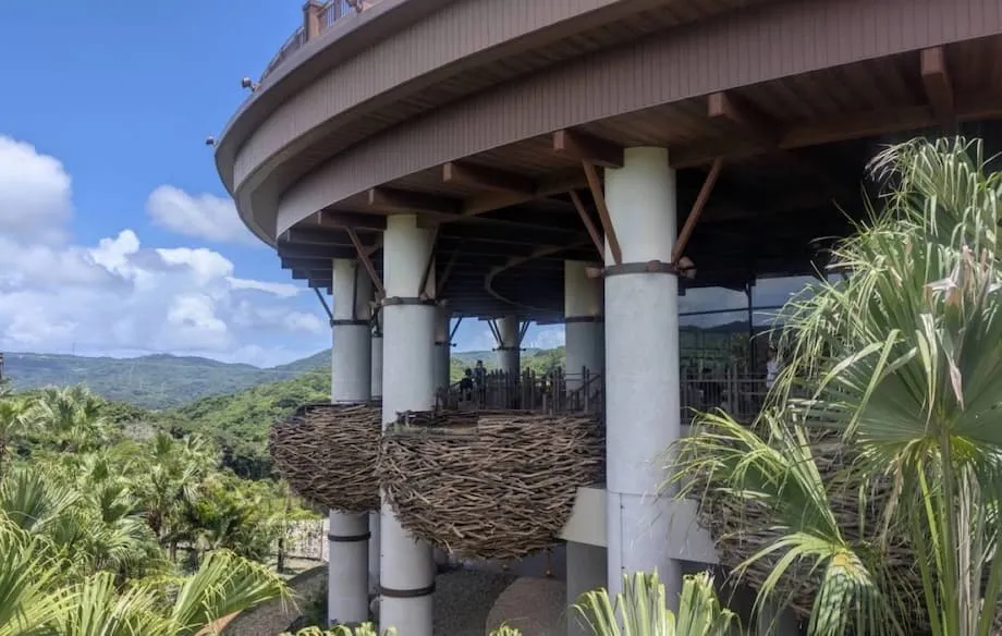 Junglia: O Parque Temático de Dinossauros de Okinawa Inaugura Uma Nova Era de Aventura e Turismo