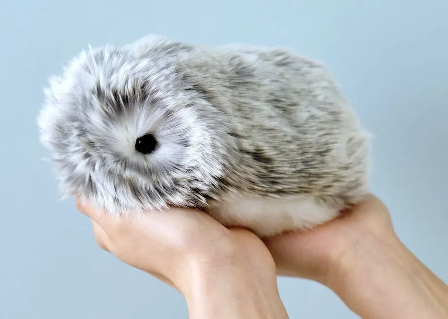 Moflin: O Mascote Robótico Peludo com IA do Japão que Conquista Corações com Personalidades Únicas