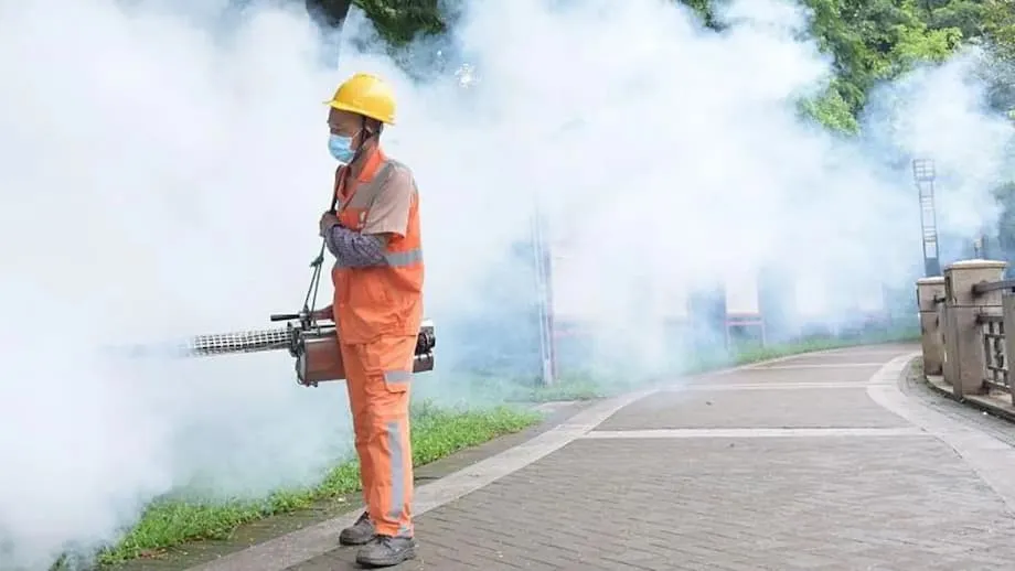 Maior Surto de Chikungunya de Sempre na China: Como Cantão Combate um Vírus Transmitido por Mosquitos