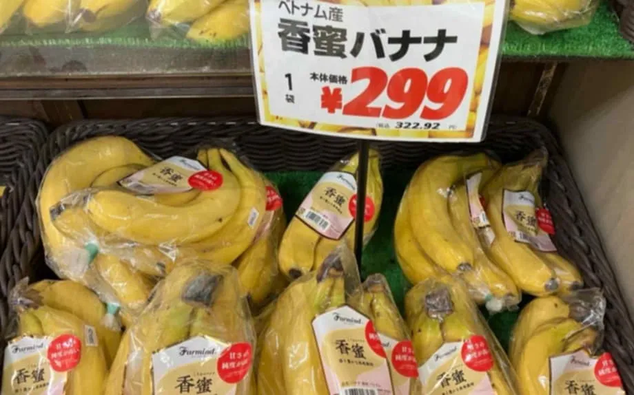 Bananas Vietnamitas Ganham Terreno no Japão: Uma Mudança no Comércio de Bananas da Ásia