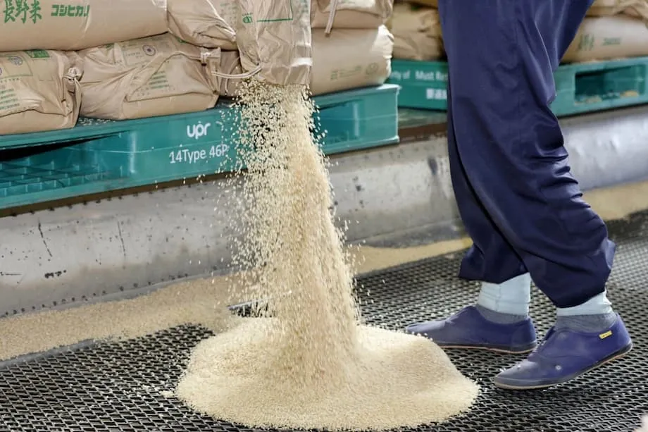 A Crise de Insegurança Alimentar no Japão: Porque é que a Maioria das Famílias de Baixo Rendimento Luta para Alimentar os Filhos