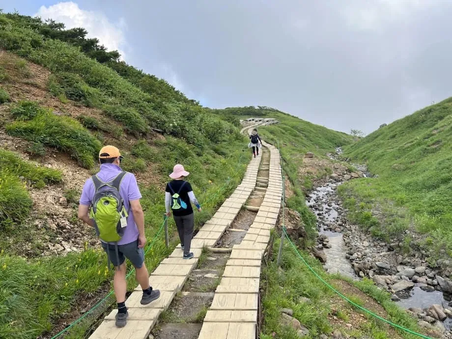 O Boom das Coolcations no Japão: Como as Alterações Climáticas Estão a Reformular o Turismo de Verão