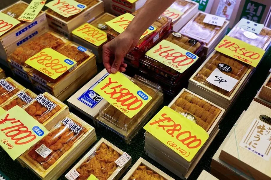 Mares em Aquecimento e Marés Vermelhas: Porque a Delicadeza do Ouriço-do-Mar Escapa do Alcance no Japão