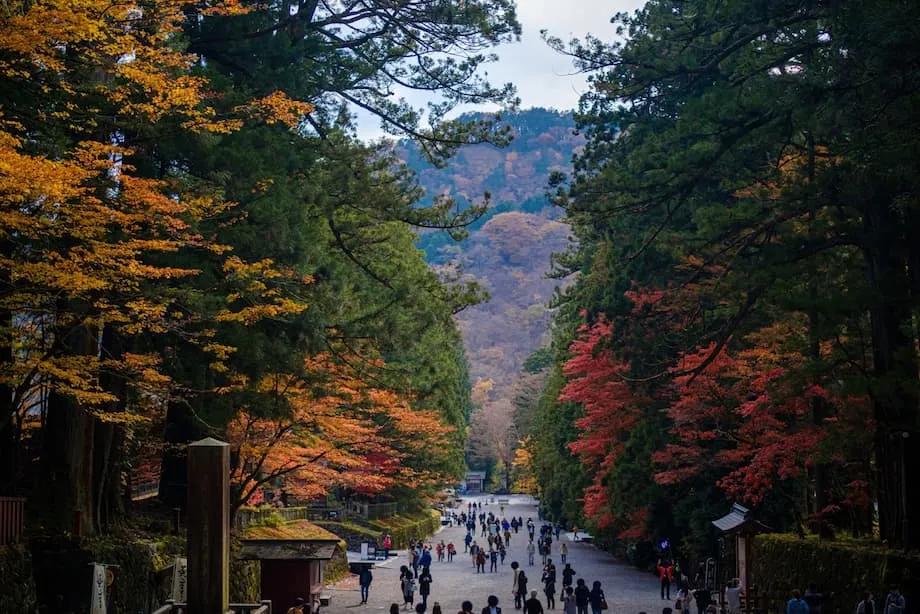 5 Locais para Ver a Folhagem no Início do Outono no Japão: Onde Apanhar as Primeiras Cores do Outono