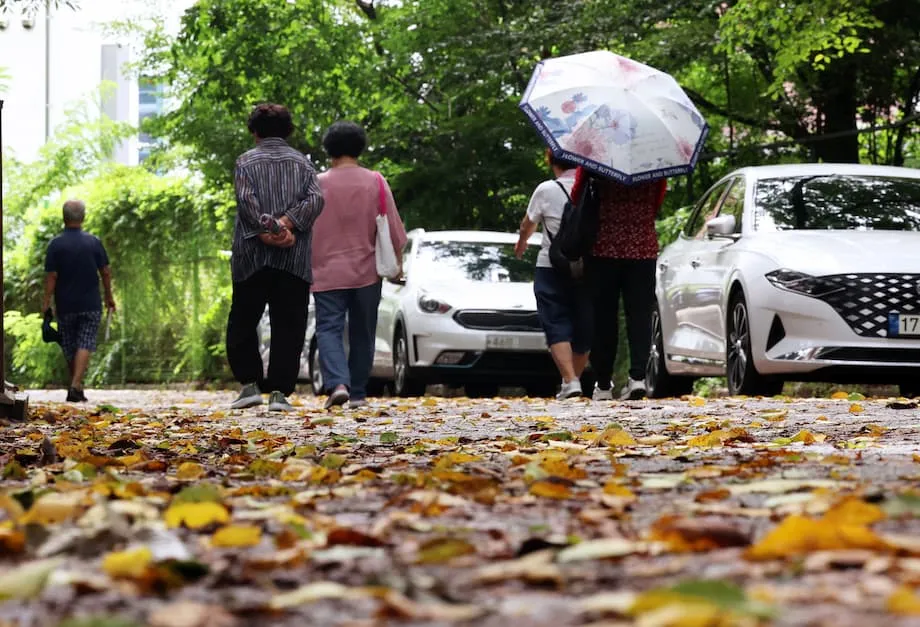 Vigilância de La Niña para a Coreia do Sul, com Períodos Húmidos Iniciais e Possíveis Vagas de Frio Antecipadas