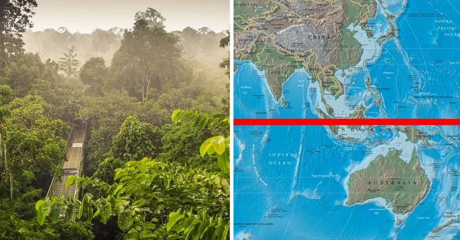 Porque as Florestas Tropicais da Malásia Estão Entre os Ecossistemas Mais Antigos da Terra
