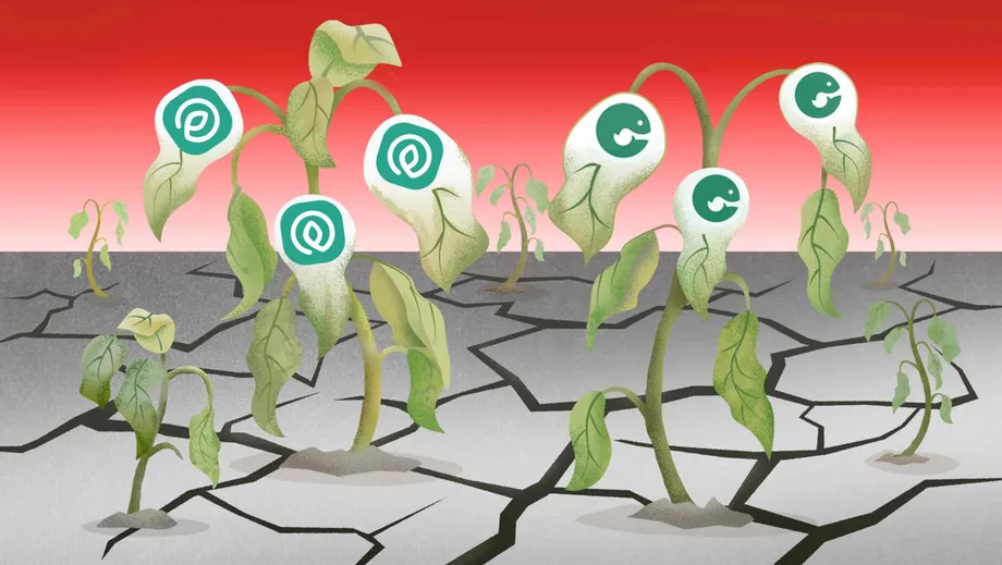Escândalos de corrupção desencadeiam crise de financiamento para startups indonésias