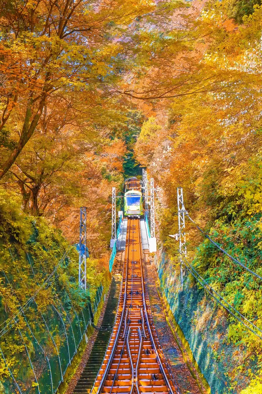 Japão de comboio no outono: as melhores viagens ferroviárias para a folhagem