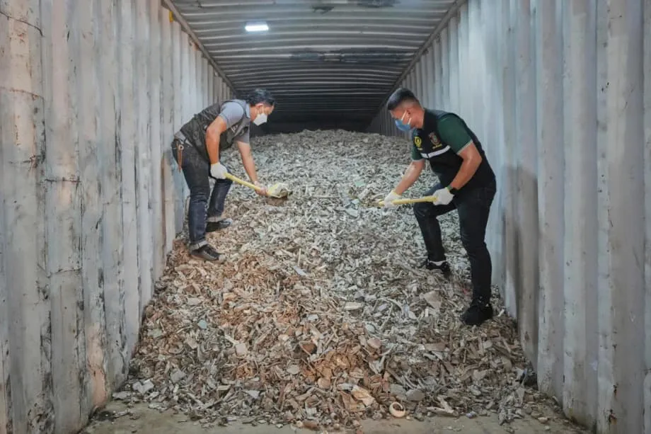 Exportações de resíduos eletrónicos dos EUA alimentam crise de poluição no Sudeste Asiático