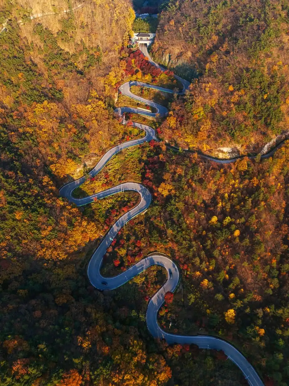 Coreia do Sul em 2026: cultura, novos trilhos e comida que justifica a viagem