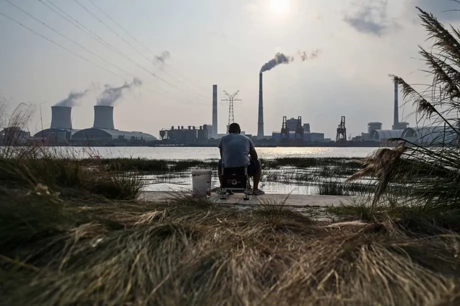 China retém financiamento para fundo florestal do Brasil e pede que países ricos liderem na COP30