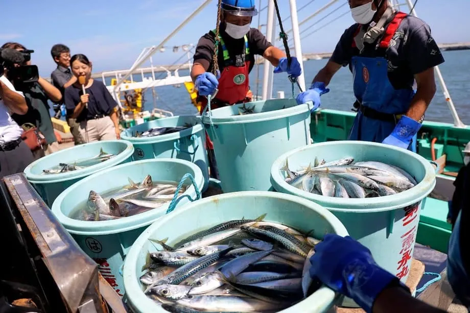 China avança para suspender importações de frutos do mar japoneses à medida que a disputa sobre Taiwan escala