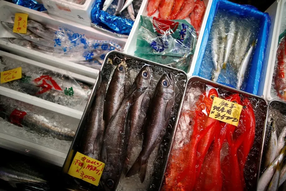 Pequim volta a proibir importações de produtos do mar e ameaça o Japão após declarações sobre a defesa de Taiwan