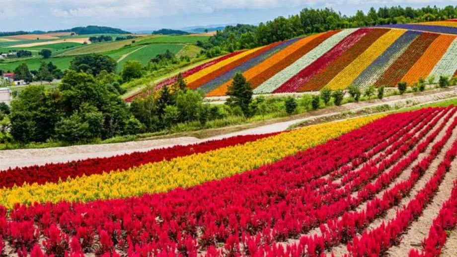 O ambicioso plano do Japão para transformar Hokkaido num polo global de chips