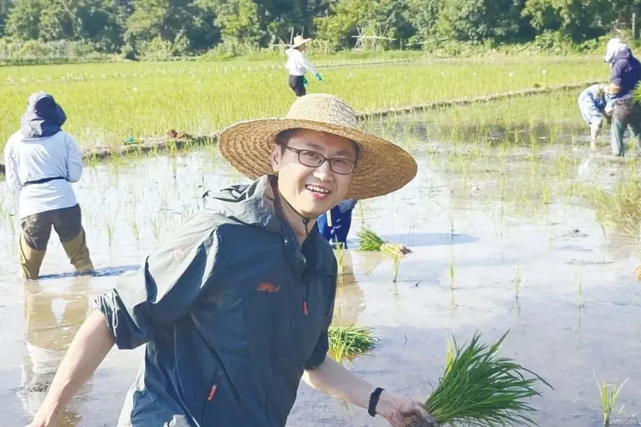 O avanço da China no arroz híbrido clonal poderá revolucionar a segurança alimentar mundial