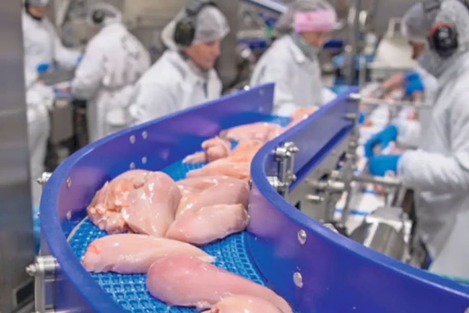 Outlook 2026: Global growth in poultry meat set to continue ...