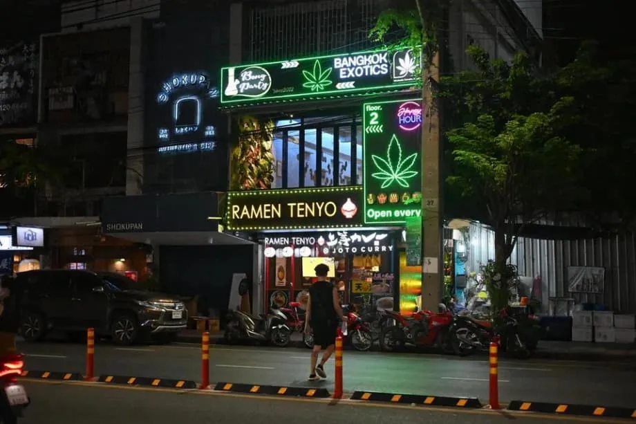 A experiência da canábis na Tailândia: da esperança económica à preocupação social