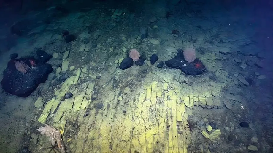 Estrada de tijolos amarelos no fundo do mar do Pacífico: cientistas descobrem maravilha vulcânica