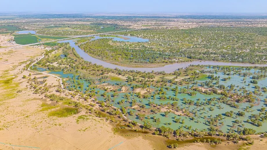 A Grande Muralha Verde da China transforma o Deserto de Taklamakan num sumidouro de carbono