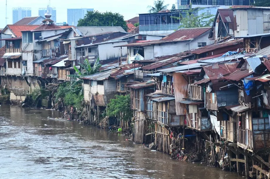Explosion of janitor fish is a sign Ciliwung River heavily polluted ...
