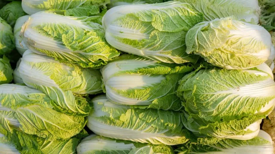 China investiga tratamento ilegal de couves com formaldeído enquanto aumentam os receios regionais em matéria de segurança alimentar