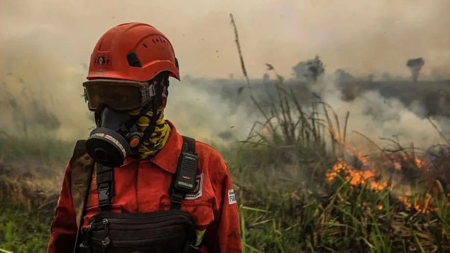 Fumo tóxico dos incêndios florestais alastra-se pelo Sudeste Asiático enquanto o Super El Niño se intensifica
