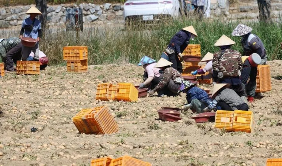 A Coreia do Sul recorre à imigração, mas estudo avisa que não travará o declínio demográfico