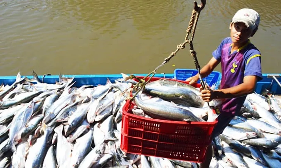 Vietname ascende a terceiro maior fornecedor de produtos do mar de Singapura
