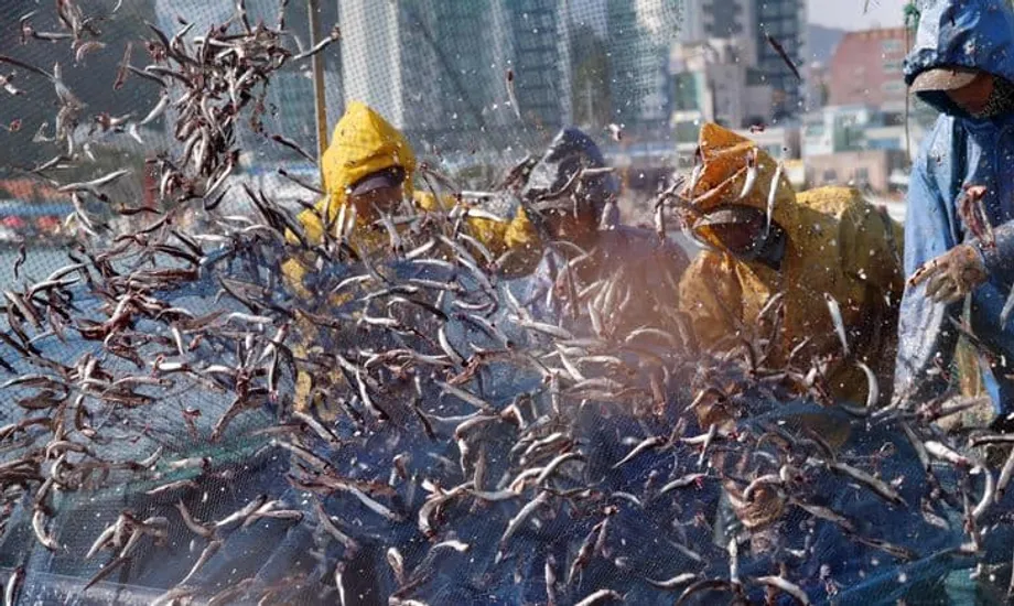 Trabalhadores estrangeiros qualificados na Coreia do Sul ultrapassam limiar de rendimento de 2.000 dólares enquanto o país enfrenta crise demográfica
