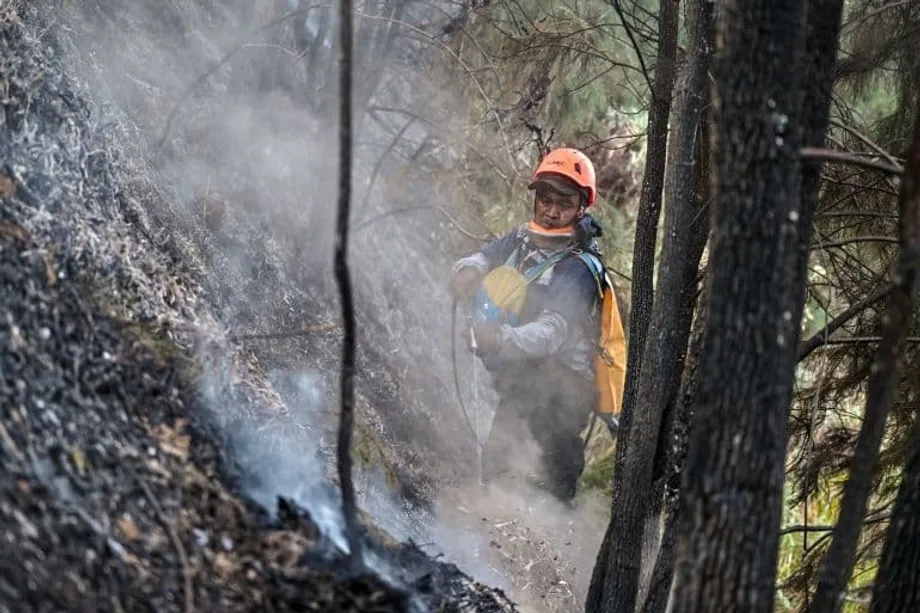 Indonésia combate incêndios florestais enquanto forte El Niño provoca calor, seca e fumo