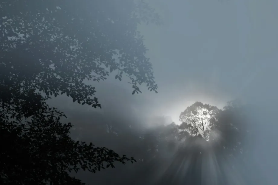 Singapore Extends Haze Notices to Kalimantan as Pressure Spreads to Corporate Owners and Financiers