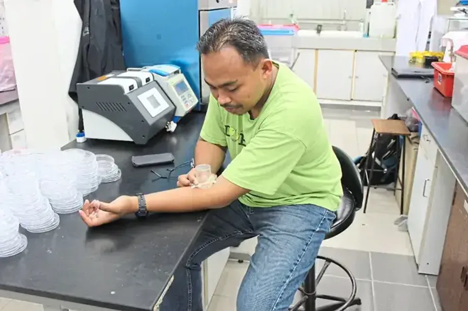 Pergueiros como Prova Forense: Cientistas Malaios Desbloqueiam Novas Pistas de Cena de Crime
